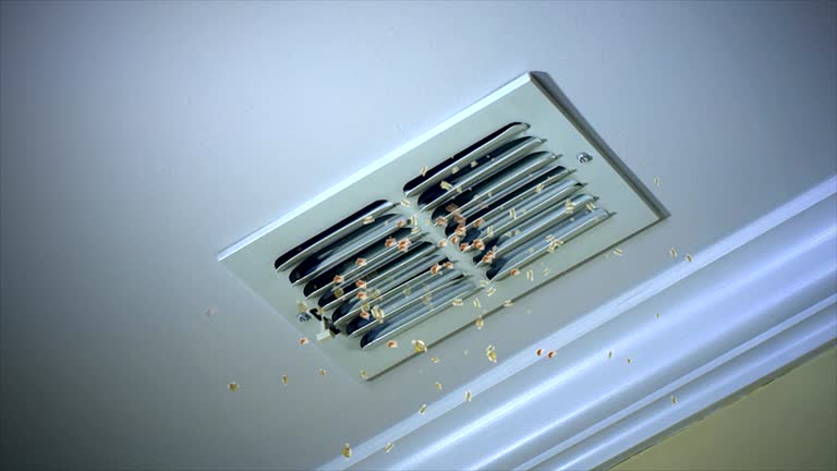 Best Air Duct Cleaning Near Me  in Seward, NE